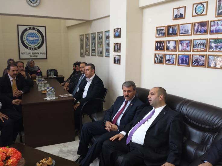 bbp-8.jpg bbp-8.jpg